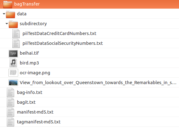 A bagged transfer containing digital objects and bag metadata