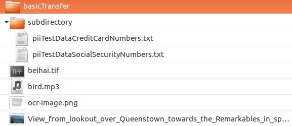 A folder called basicTransfer, which contains four top-level digital objects as well as a folder called "subdirectory" containing two more objects
