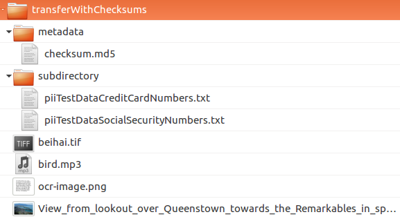A transfer containing a metadata subdirectory, which contains another subdirectory called submissionDocumentation