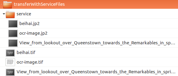 A transfer containing a service subdirectory, which contains service or mezzanine copies of the originals