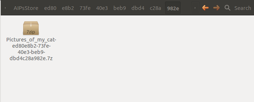 Screenshot of a file browser showing the AIP quad directories, with the lowest-level directory open to show the AIP package.