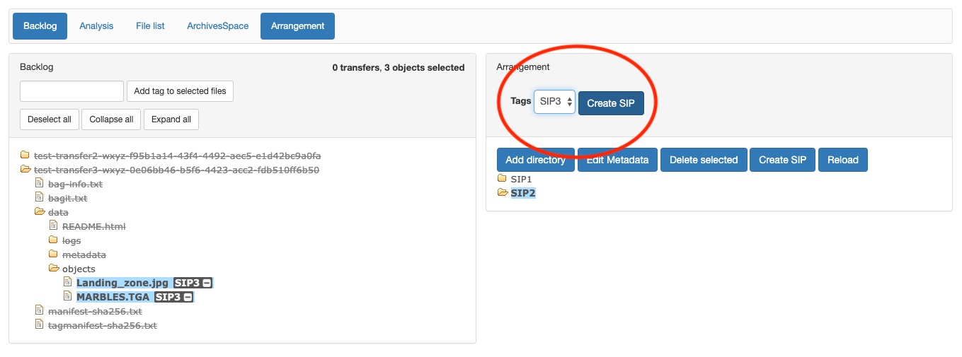 Creating a SIP from a tag