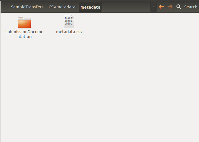 Metadata folder in transfer directory contains metadata.csv file