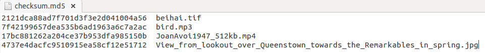 Structure of checksum file