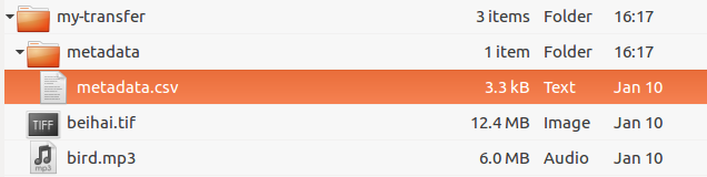 Metadata folder in transfer directory contains metadata.csv file