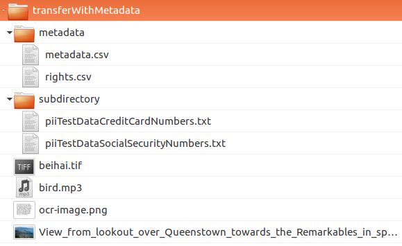 A transfer containing a metadata subdirectory, which contains a metadata.csv and rights.csv file