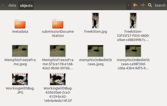 Objects folder content in Data
