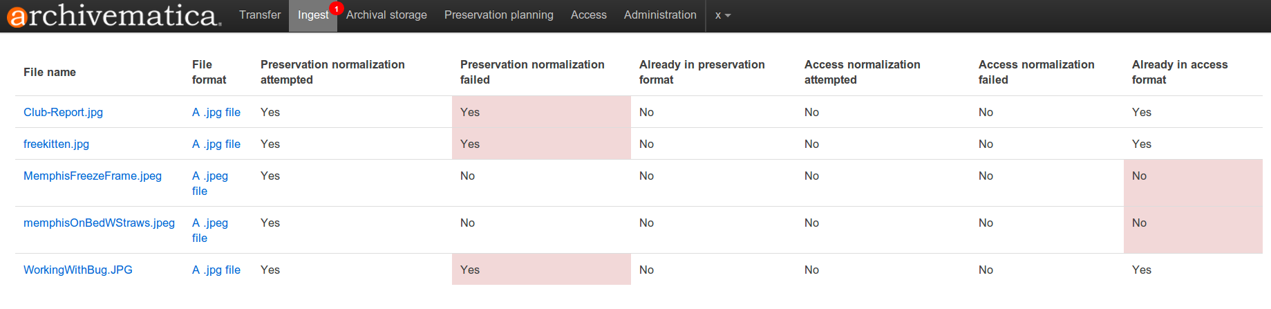 Normalization report showing failed normalization attempts