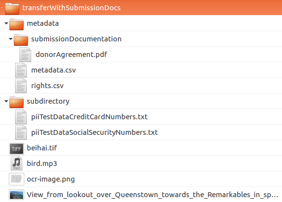 A transfer containing a metadata subdirectory, which contains another subdirectory called submissionDocumentation