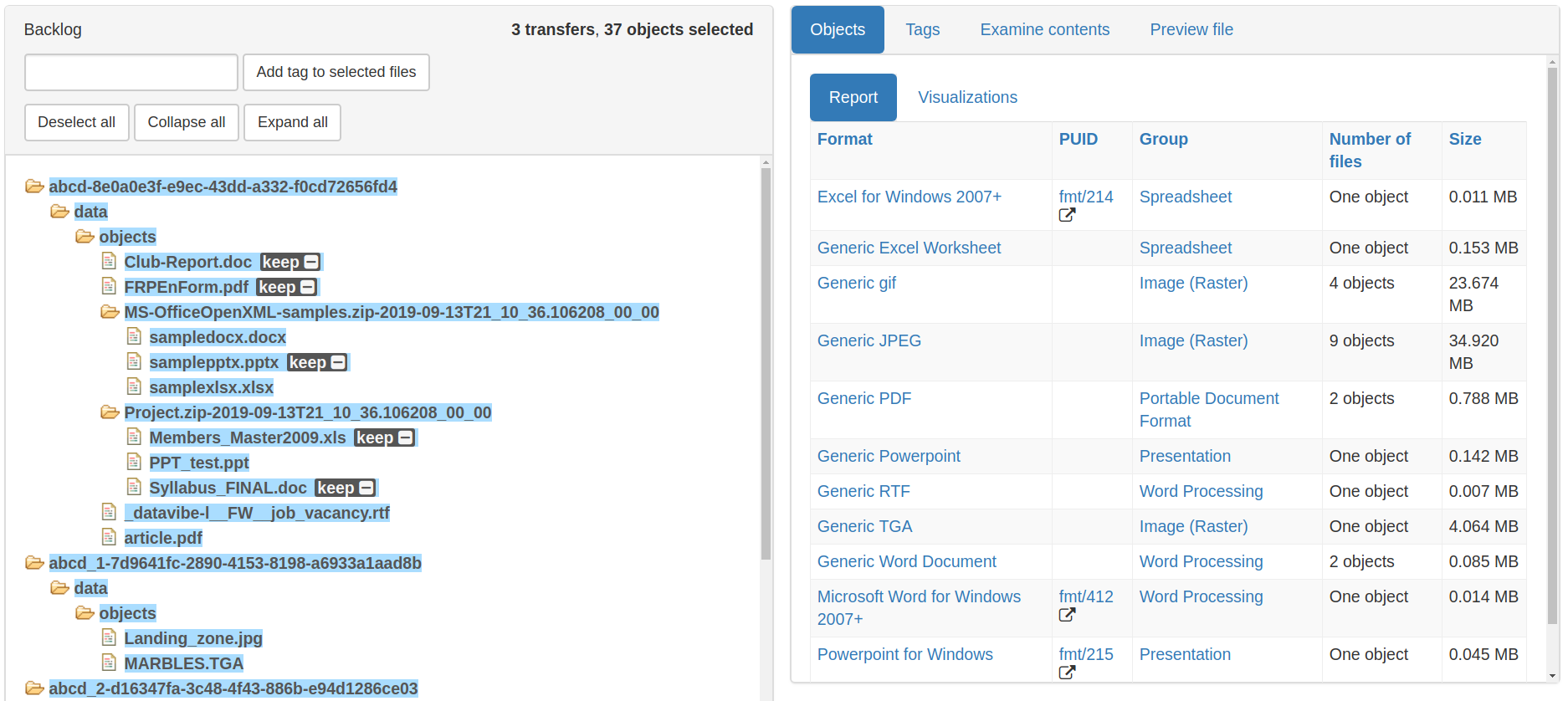 The left-hand side of the image shows the backlog pane with a number of files selected. The right-hand side of the image shows information about those files, including the file format name, PUID, and size.
